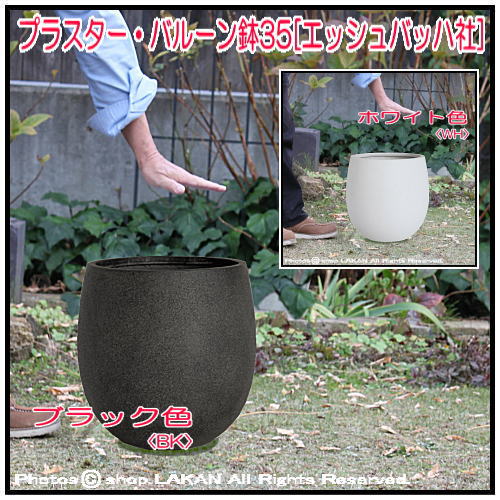 素焼感 エッシュバッハ社 グリーンポット