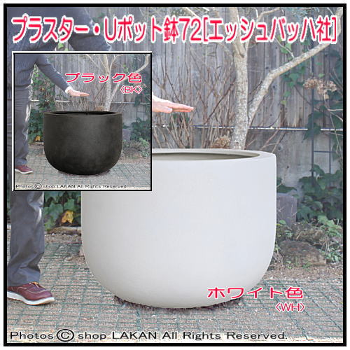 素焼感 エッシュバッハ社 グリーンポット