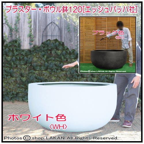 風合い グリーンポット 素焼感