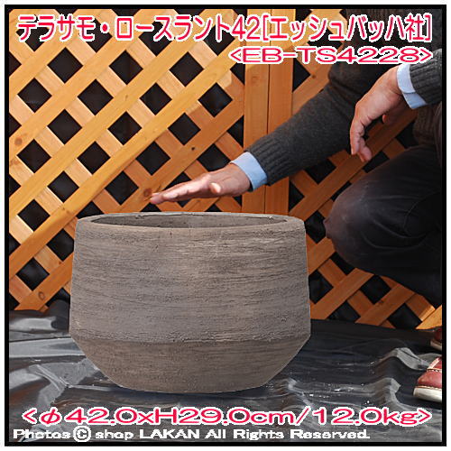 エッシュバッハ社 テラサモ ロースラント  テラコッタ鉢