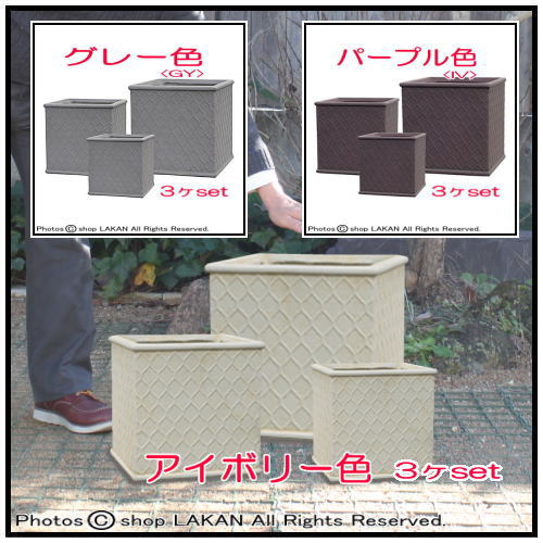 普遍 人気柄 ３ヶ組 通気性