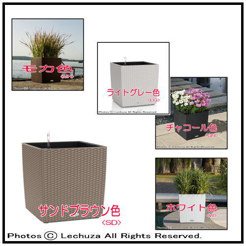 コテージ キューブ 40 レチューザ 底面灌水