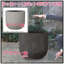 ロッカー シンプル 円柱型鉢 Uポット