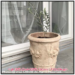 高級 植木鉢 テラコッタ製