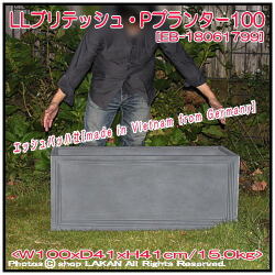植木鉢 Pプランター リードライト