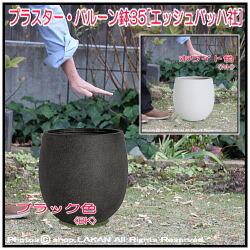 素焼感 エッシュバッハ社 グリーンポット