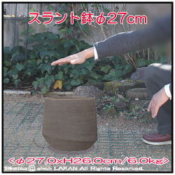 テラコッタ製 植木鉢 テラサモ テラサモ