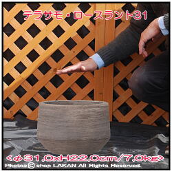 テラコッタ製 植木鉢 テラサモ