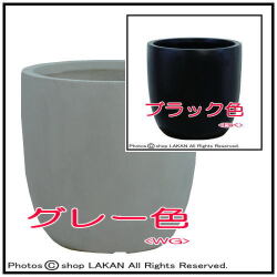 軽量 大型 エイリアス 輸入鉢