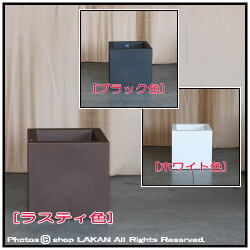 キューブ鉢 ユーロ３社 サイコロ型鉢 人気鉢