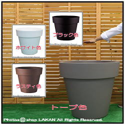 イコン ユーロスリー ポリエステル樹脂鉢