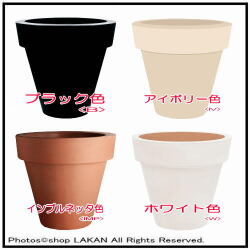 baseline" alt="セラルンガ社 イタリア製 大型植木鉢