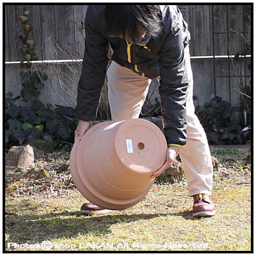 イタリア製テラコッタ鉢 51QAN7GUX8L._UF350,350_QL50_.jpg