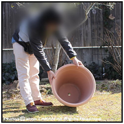 リムポット ホワイトφ52cm (トスカーナ)素焼きテラコッタ製輸入植木鉢
