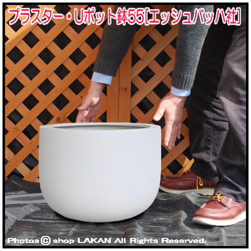 プラスター Uポット ホワイト 55cm プラスター Uポット ホワイト 55cm