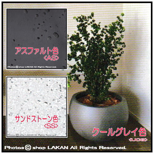 人気 樹脂製植木鉢 松尾貿易 大型 046U