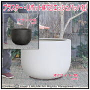 素焼感 エッシュバッハ社 グリーンポット
