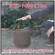 テラコッタ製 植木鉢 テラサモ テラサモ