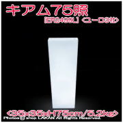 キアム　照明付植木鉢　松尾貿易　2499L
