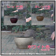 グリーンポット 人気陶器鉢