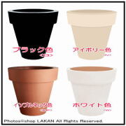 baseline" alt="セラルンガ社 イタリア製 大型植木鉢