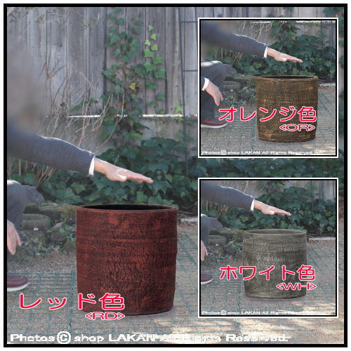 グリーンポット 人気陶器鉢