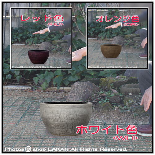グリーンポット 人気陶器鉢
