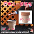 素焼ポット リーズナブル 幅広リム コーヒー色
