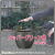 バンドール FRP 植木鉢 ラウンド