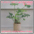 ベースメント EP-2301 クレイ 植木鉢