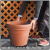 ドッピオボルド 大型 樹脂鉢 ユーロスリー 人気