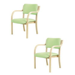 【送料無料！51%OFF！】ダイニングチェア（肘付）二脚セット グリーン■DC-530PGNx2set
