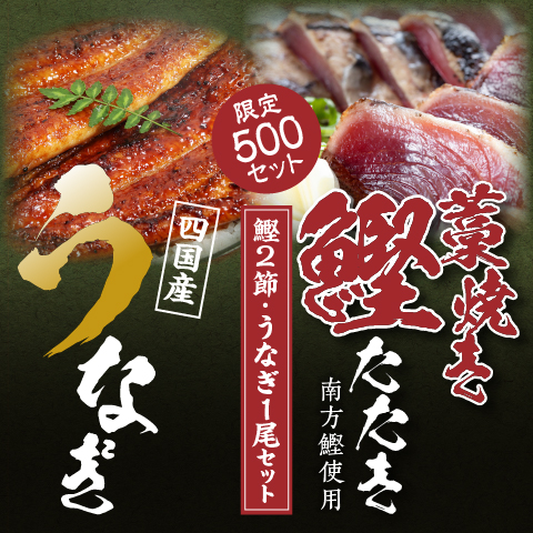 【期間限定】藁焼き鰹たたき2節と四国産うなぎ蒲焼き1尾セット（限定500セット）〔KSU-5S〕