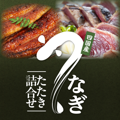 【父の日ギフト】鰹たたき・鰻蒲焼きセット〔FD-37〕