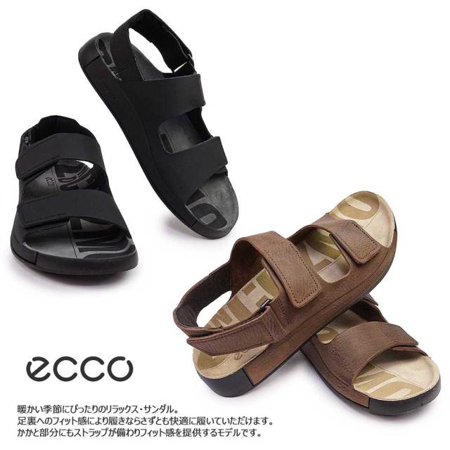 eco500944-04.jpg?t=20240712221130