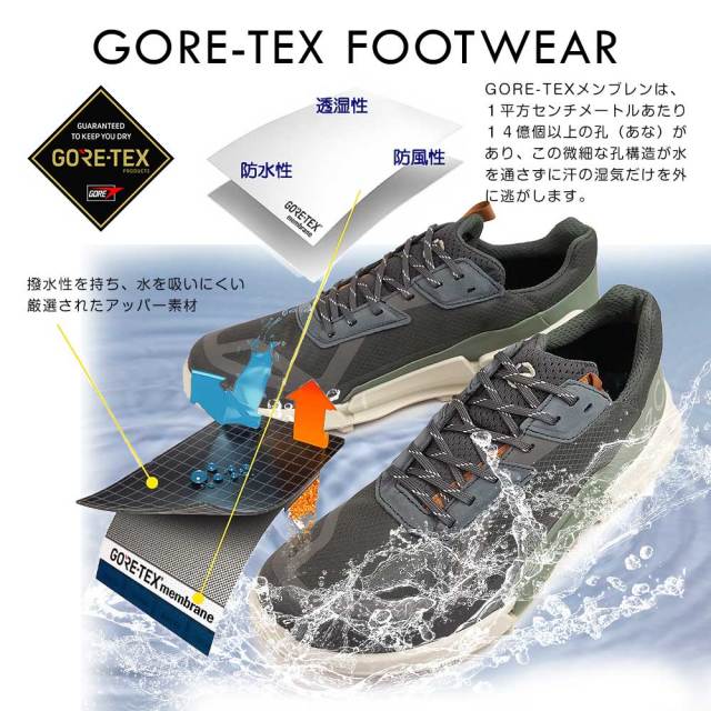 7月購入 1回使用のみ ECCO 防水 バイオム C4 GORE-TEX 26