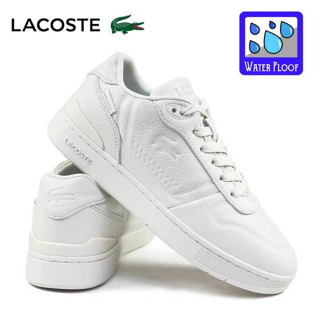ラコステ | LACOSTE