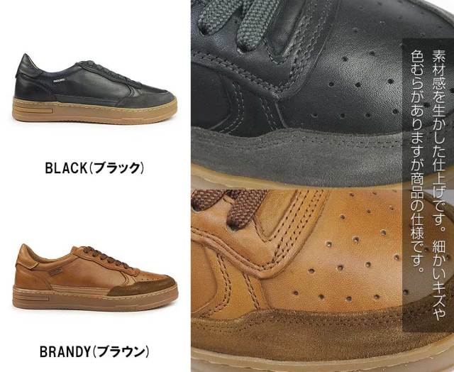 ピコリノス 靴 メンズ スニーカー ハティバ PK-124 M1K-6383C1
