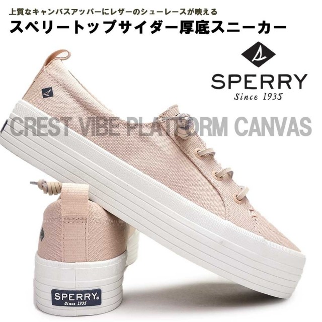 srtcrtvbptcv-06.jpg?t=