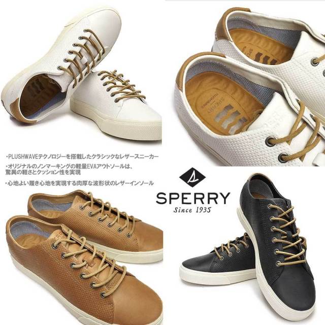 SPERRY ネイビー スニーカー　24センチ 新品 スペリートップサイダー メンズ ソルタイド レーシー スニーカー
