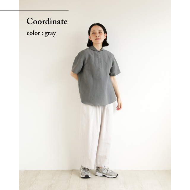 半袖トップス DC SHOES（ディーシーシューズ） DCシューズ 半袖Tシャツ メンズ 24