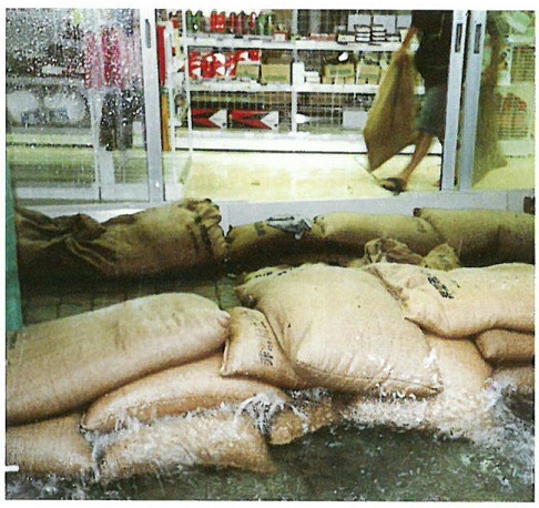 ウォーターゲルバック #2000 （600mm×400mm×30mm/40枚入）