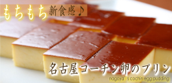 名古屋コーチン卵のプリン　～プレーン～