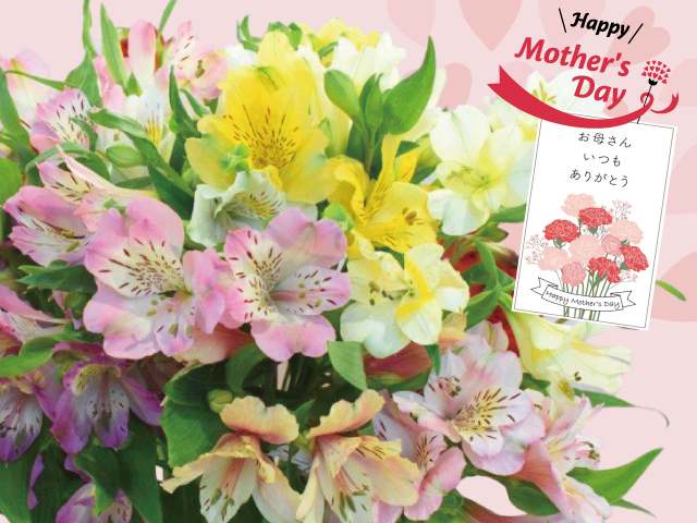 JA上伊那 アルストロメリア