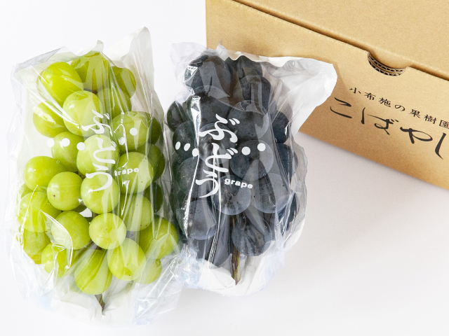 こばやし園　シャイン＆パープル800g