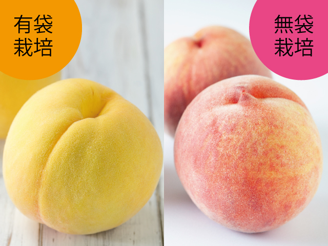 黄金桃