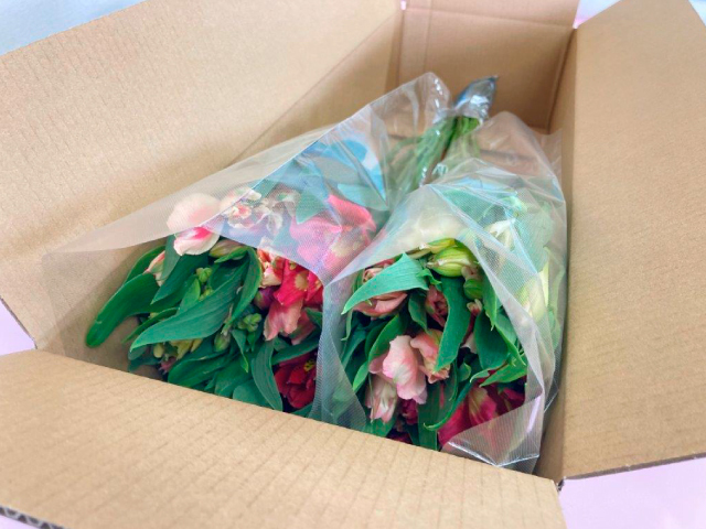 JA上伊那 アルストロメリア