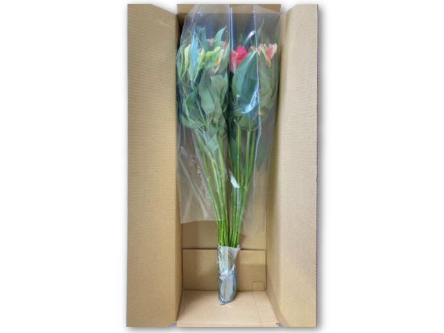 JA上伊那 アルストロメリア