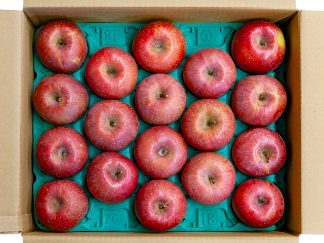 JAあづみサンふじ5kg