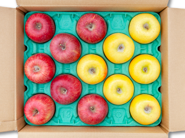 大ちゃん農園 サンふじ シナノゴールド